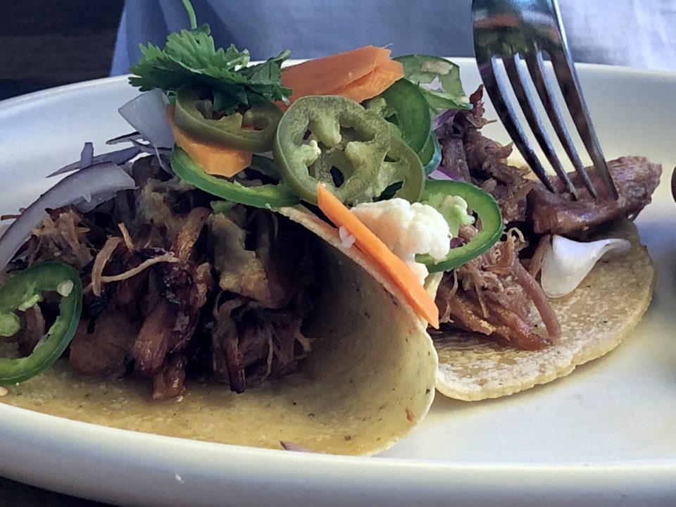 Carnitas Tacos NopalitoSF